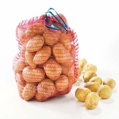 China Small Recyclable EGP Fresh Vegetable Gauze Mesh Packing Bag for sale