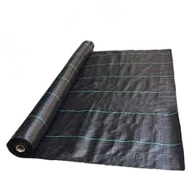 China UV treated virgin pp woven black mat eco-friendly weed control for agriculture with high quality for sale