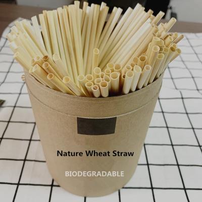 China Disposable Wheat 100% Natural Biodegradable Eco Friendly High Quality Disposable Hay Straws for sale