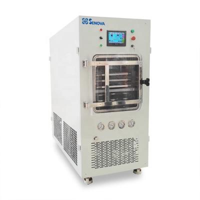 China Medicine Curing 2Kg Silicon Oil Heating Pharmaceutical Industry Vial Pilot Freeze Dryer for sale