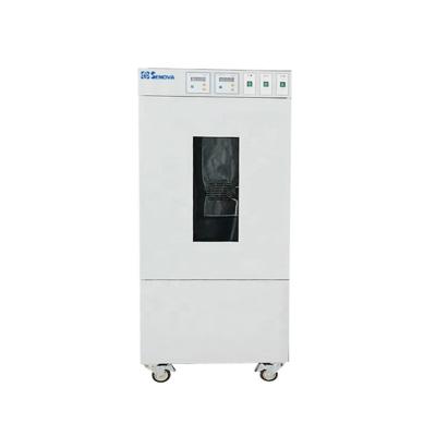 China SUS 304 Stainless Steel Thermostatic 150L Lab Refrigerated Bacteriological Cooled Incubator for sale