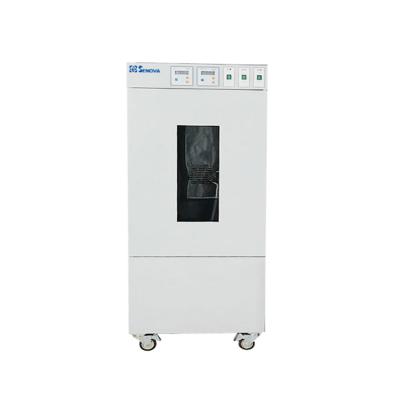 China Stainless Steel Thermostat 450L Programmable Laboratory Incubator Bacteriological Price for sale