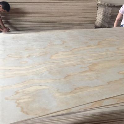 China Beam pine vietnam manufacturer sale 4x8 cheap packing plywood for sale