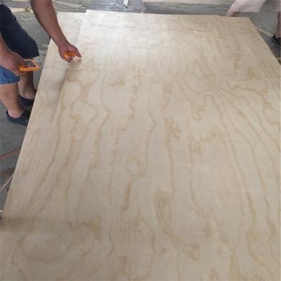 China Beam Chinese Pine 9mm 12mm 15mm 18mm Full Beam Plywood Price Pine Veneered Wood For House Construction for sale