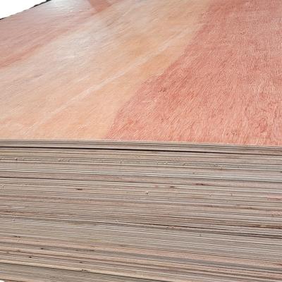 China 11mm Bintangor Modern Plywood Face WBP Melamine Glue Poplar Core for sale