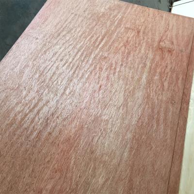 China Modern commercial 6 mm plywood panel at wholesale price lumber for sale