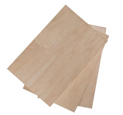 China Cheap Price 6mm Maple Veneer Modern Plywood for sale