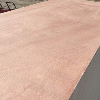 China Modern Best Price Commercial Used Plywood for sale