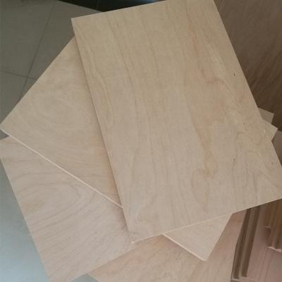 China Modern 5mm Birch Plywood Timber Timber Plywood Russia for sale