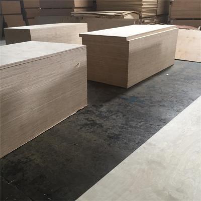 China Modern hot sell natural birch plywood with good veneer and board for sale