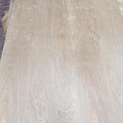 China Wood Modern Packing Grade Shandong Birch Plywood Price Natural Veneer for sale