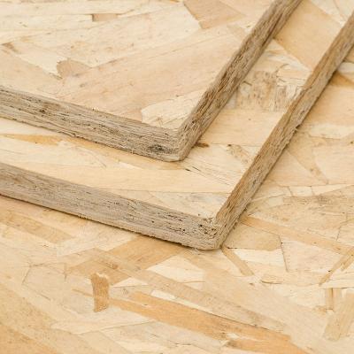 China 1220*2440mm Oriented Strand Board Cheap Modern Packing OSB Use for sale