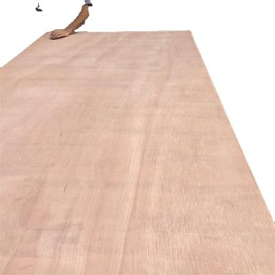 China Industrial wood plate marine plywood 1220x2440 with thickness 6mm to 28mm wood plywoods for sale for sale