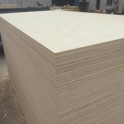 China Modern 9mm 12mm 15mm 18mm Poplar Plywood Furniture Hardware Plywood for sale