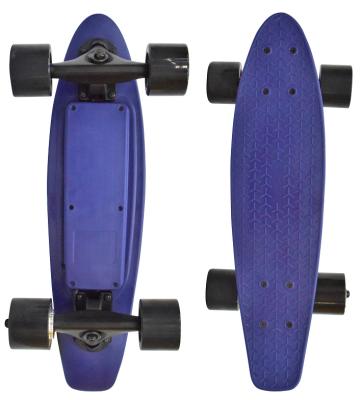 China Professional China Factory Youth OEM Fish Rig Panel 300W Plastic Hub Motor Electric Skateboard for sale