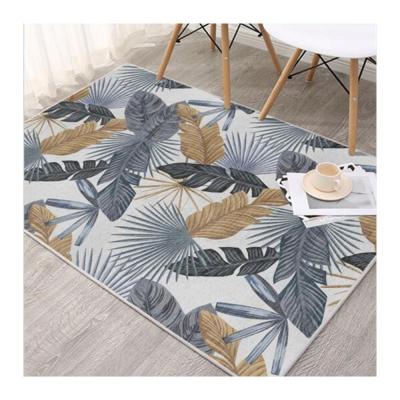 China Wholesale High Quality China 3d Plain Carpets Washable Blankets for sale