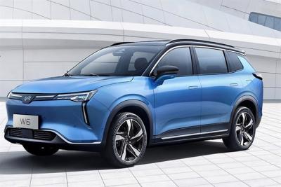 China Grote Elektrische Auto's 520KM 620KM New Energy Weltmeister Elektrische Auto SUV van WM W6 Te koop