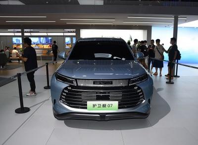 Cina La ruota di FWD 4 conduce le automobili elettriche in vendita