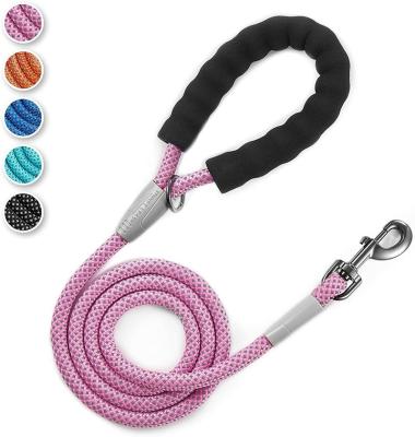 China 5ft Eco-Friendly High Reflective Durable Custom Braided Nylon Rope Dog Leash Customized Logo With Comfortable Padded Handle for sale