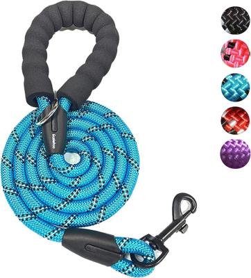 China Custom Fancy Personalized Reflective Eco-Friendly Colorful Durable Braided Nylon Rope Dog Leash Logo With Comfortable Padded Handle for sale