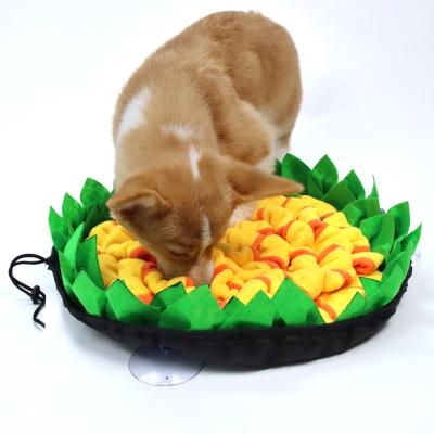 China Amazon New Viable Pet Cat and Dog Sniffle Mat Dog Training Mat Food Bowl Anti-Clog Sniffing Mat for Dogs for sale