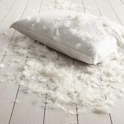 China Hot Customized White Goose Feather Waist Cushion Cheap Home/Hotel Interior /Office Pillow Bottom Pillow for sale