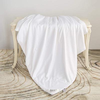 China Real Home Luxury Summer Home Use Comforter Blanket Cooling Mulberry Silk Rayon Filled Blanket White Polyester Satin for sale