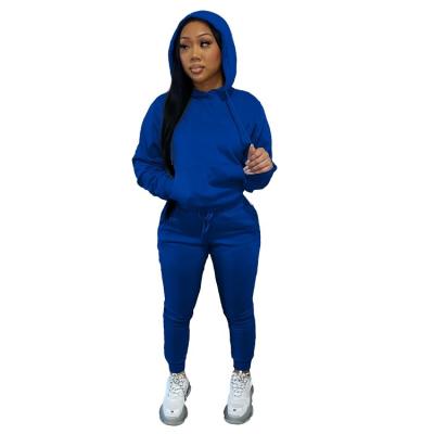 China High Quality Fast Delivery Women's Breathable Tracksuit Suits Winter Two Piece Wholesale Tracksuit Set Casual for sale