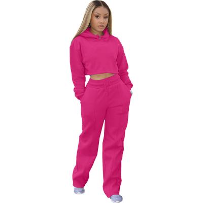 China FSL-F173-44 China factory technology fleece tracksuit breathable sweatsuit set velvet women tracksuits for sale