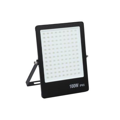 China Garden 10000 Lumen DOB SMD 100 Watt Led Flood Light 100w Led Spotlight Outdoor for sale