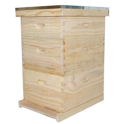 China Farms Dovetail Bee Hives For Beekeeping Fir 3 Layer Bee Hive Box In Bulk Wholesale for sale