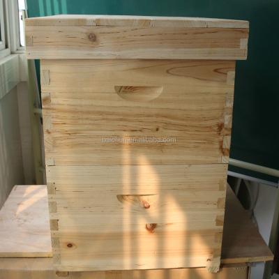 China Bee Hive Beehive Beekeeping Beekeeping Box With Bee And Queen Excluder Frames For China Fir Bee Wood Hive for sale