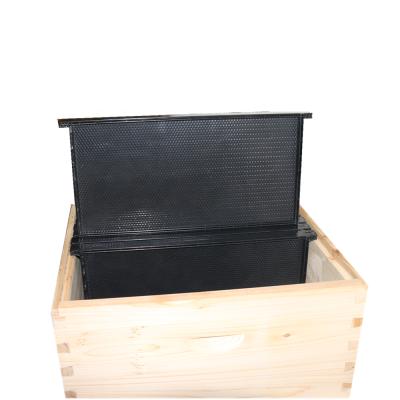 China plastic FRAME for bee farm plastic hive frames base plastic sheets for sale for sale