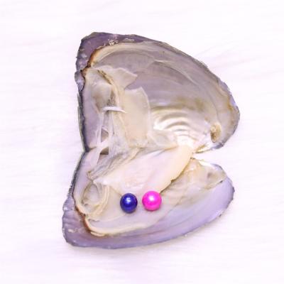 China Freshwater Pearl Twins, AAA+ Grade 7-8mm Mix 34 Colors Natural Freshwater Pearl in Oyster Shells, 2 Pearls in Vacuum Packed Freshwater Oysters for sale