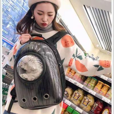 China Lize Breathable Pet Bag Dog Cage Cat Travel Bag Comfortable And Convenient To Carry Fashionable Space Travel Bag for sale