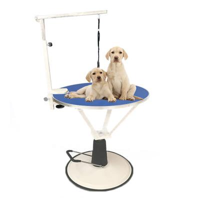 China Viable lize Hot Selling Electric Pet Grooming Table Foldable Hydraulic Lifting Table for sale