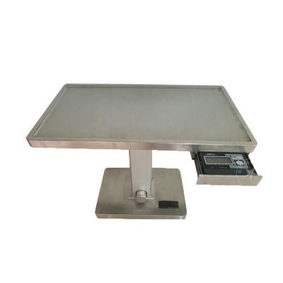 China 304 Stainless Steel Pet Clinic Pet Clinic Electric Table Dog Electric Scale Table for sale