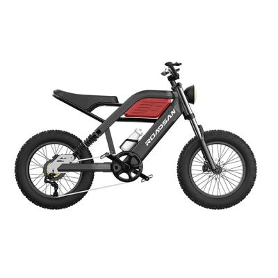 China Aluminum alloy 20 inch alloy folding bike 48v electric ebike with fat tire fatbike cheap electric bike for sale