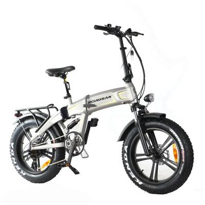 China Standard Ebike Folding Electric Bike 20inch Foldable Electric Bike 750w Fat Folding Electric Bike for sale