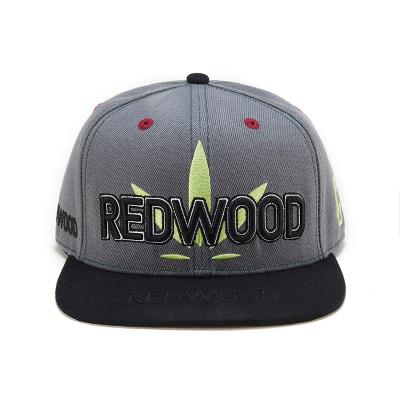 China COMMON High Quality Custom Embroidery Snapback Hat Sports Hat For Men for sale