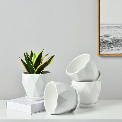 China 6pcs/box Minimalist 6pcs/box Nordic White Small Vase Planter Ins Style Ceramic Flower Pots For Succulents Plants for sale