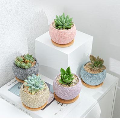 China OEM China Factory Mini Small Ceramic Bonsai Succulent Pot Contemporary Modern Decorative Indoor Flower Pot for sale