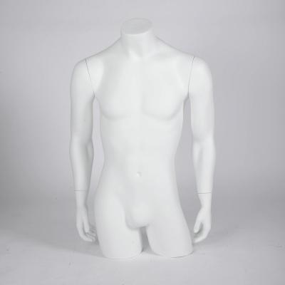 China Maternity male torso in matte white for shop window display for sale