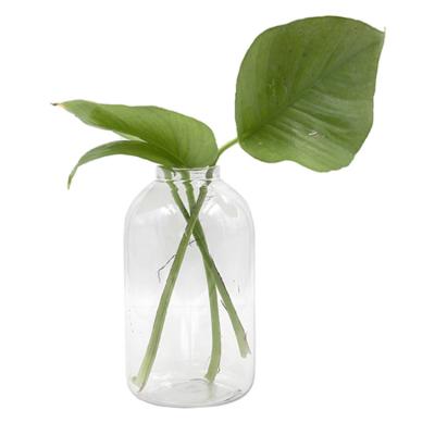 China 750ml PET Flower Table Top Plastic Bottle Clear Wholesale Empty Plastic Clear Vase For Home Decor for sale