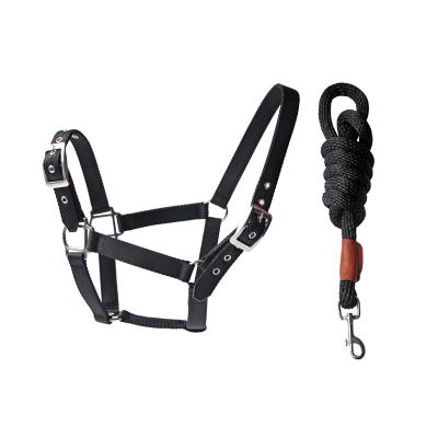 China High Quality English Saddle Manufacturer Eco-friendly Equestrian Equipment RPT Horse Halter and Lead Leather Nylon Rope for sale