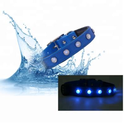 China Viable PIN Buckle LED Dog Collar USB Rechargeable, Waterproof Pet LED Dog Collar Collar for Small Animals for sale