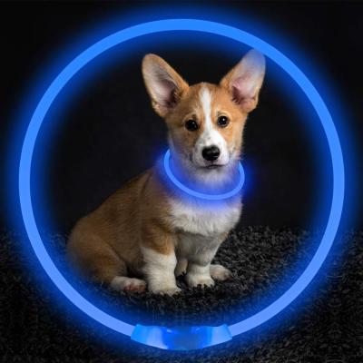 China Viable Flashing LED Glow in the Night Puppy Collar, Colorful Adjustable Safety Light Up Silicone Dog Collar for sale