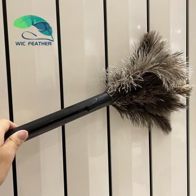 China Retractable Car Ostrich Feather Duster Brown For Car Supplies Reusable Eco-Friendly Ostrich Feather Handheld Duster for sale