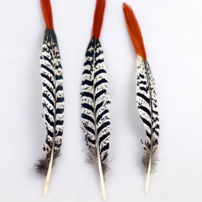 China DIY top supplier pheasant feather large in stock for sale