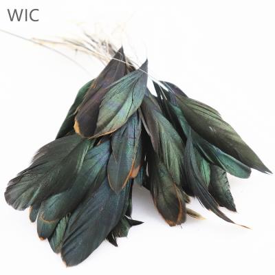 China Fashion ; DIY; Wholesale Coque Hackle Feather For Clothing Decor stripped per decoration 6-8 inch cock rooster tail feathers for sale